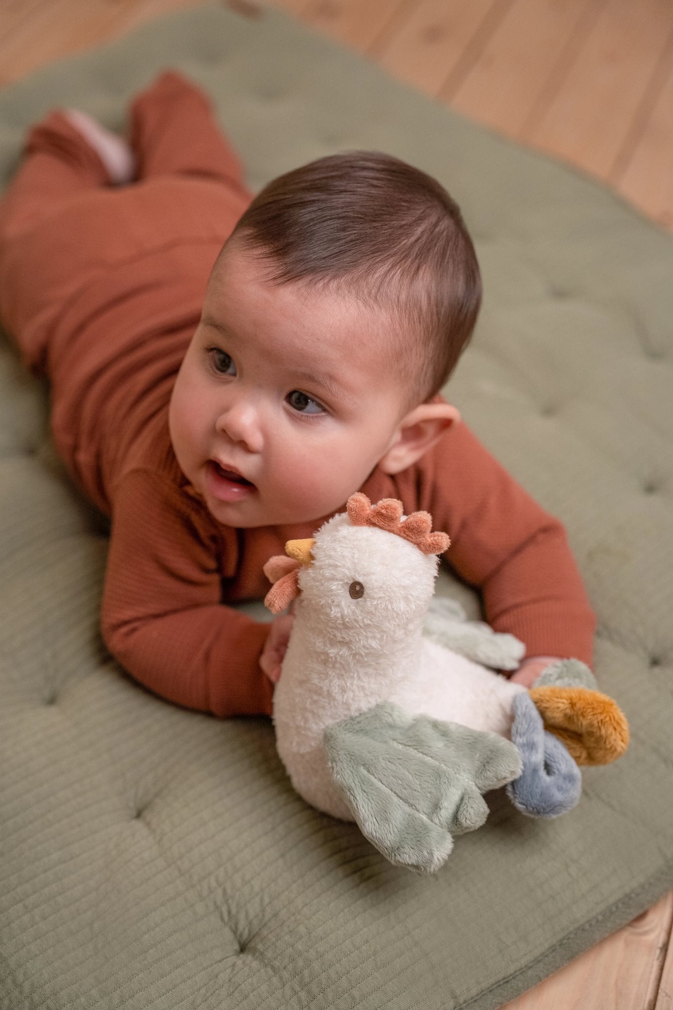 Little Dutch Tumbler Chicken- Little Farm